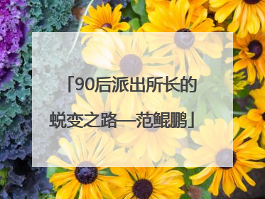 90后派出所长的蜕变之路—范鲲鹏