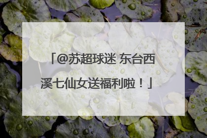 @苏超球迷 东台西溪七仙女送福利啦！