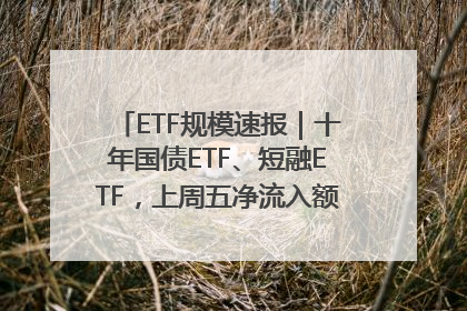 ETF规模速报｜十年国债ETF、短融ETF，上周五净流入额均超20亿元