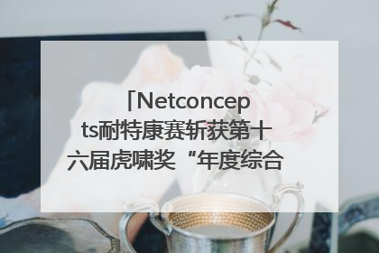 Netconcepts耐特康赛斩获第十六届虎啸奖“年度综合服务商”大奖