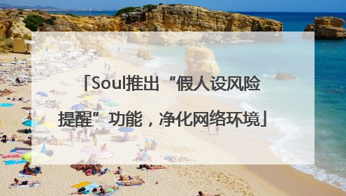 Soul推出“假人设风险提醒”功能，净化网络环境